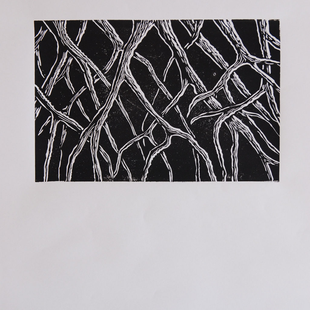Linogravure - explorations - URDLA/MJC