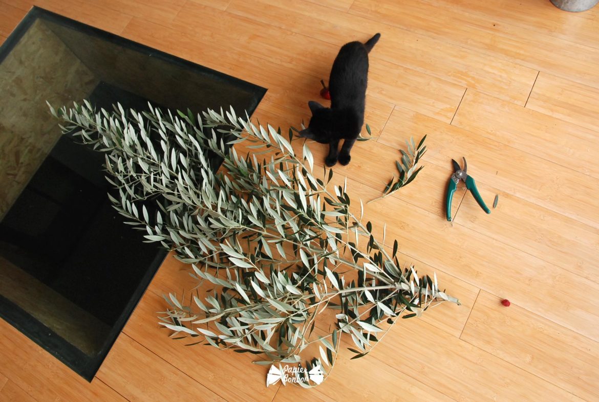 Faire une couronne avec des branches d'olivier
