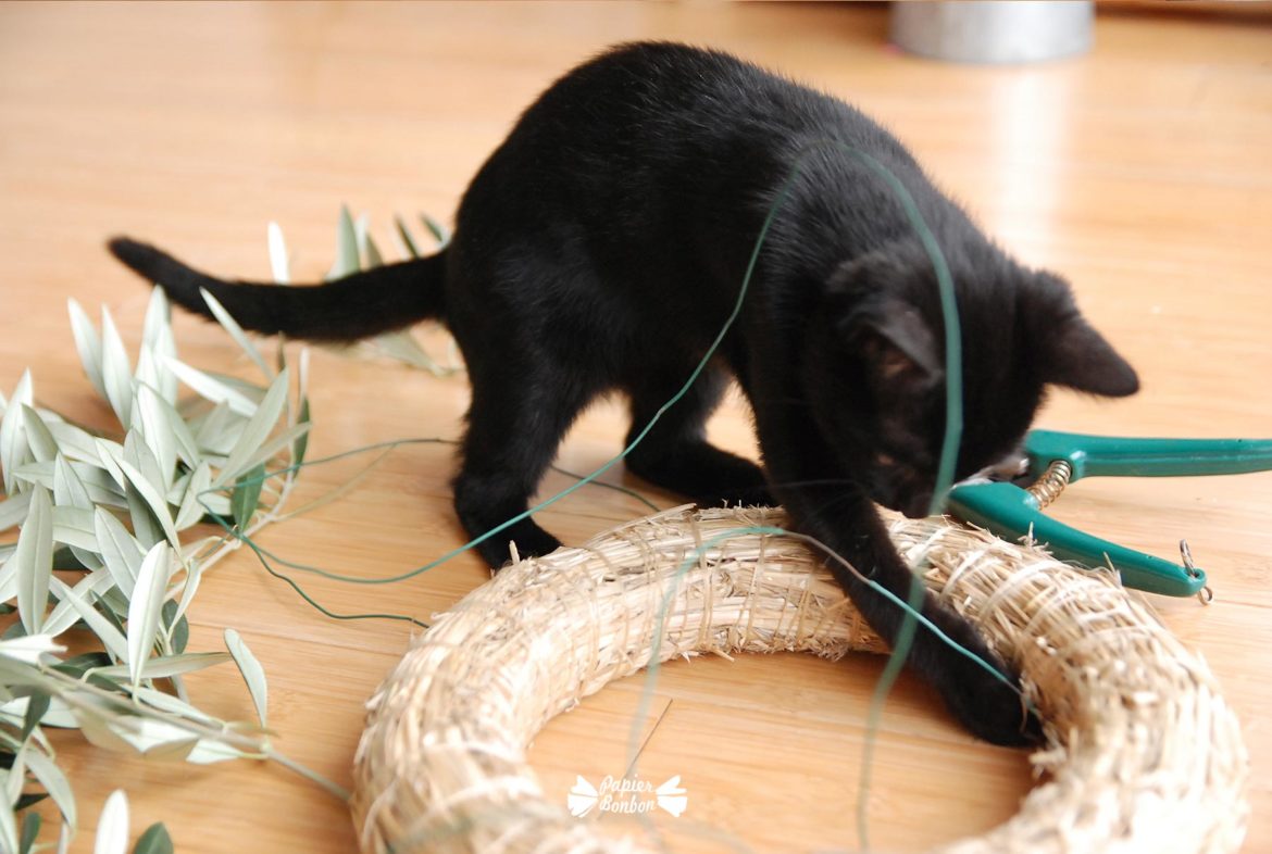 Faire une couronne avec des branches d'olivier