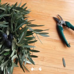 Faire une couronne avec des branche d'olivier