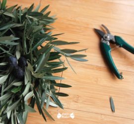 Faire une couronne avec des branche d'olivier
