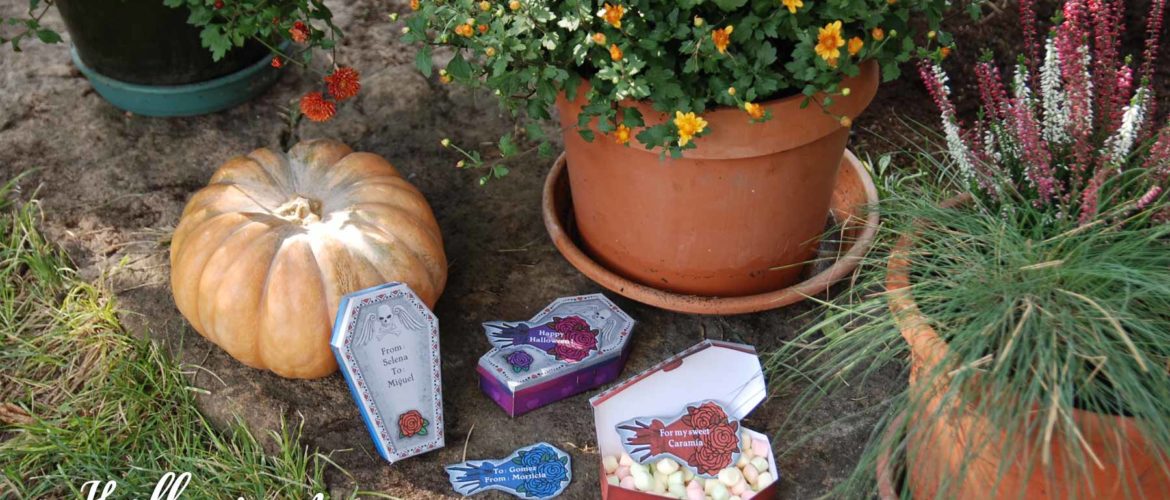 Halloween coffin gift box