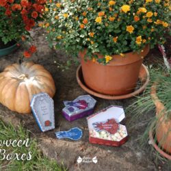 Halloween coffin gift box