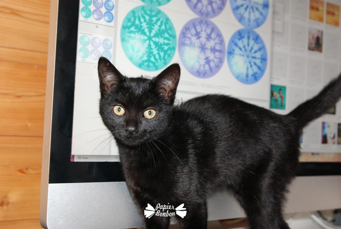 Fabriquer une guirlande flocons