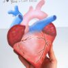 Boîte cœur anatomique Anti-Saint Valentin