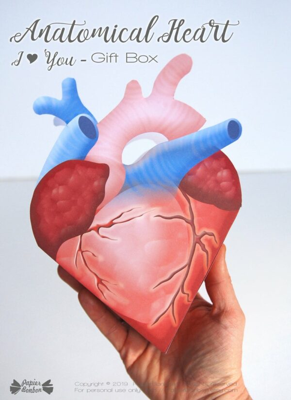 Boîte cœur anatomique Anti-Saint Valentin