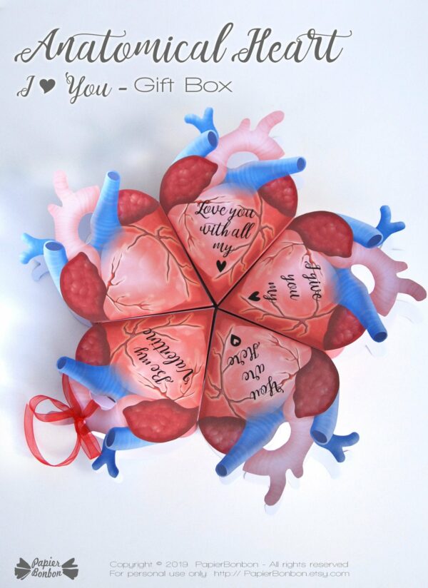 Boîte cœur anatomique Anti-Saint Valentin
