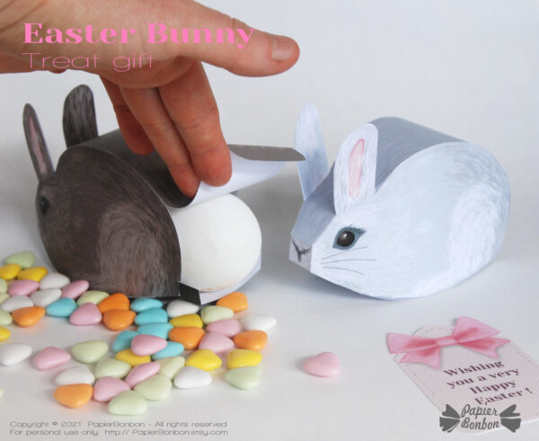 Boîtes lapin de Pâques - Easter bunny box