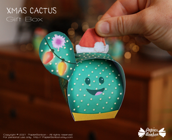 Boite cactus de Noël - Christmas Cactus Gift box