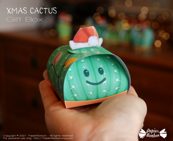 Boite cactus de Noël - Christmas Cactus Gift box