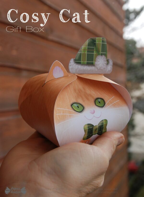 Boite cadeau chaton de Noël - cute Christmas kitten gift box
