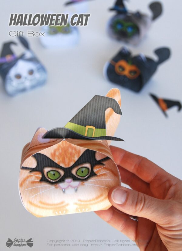 Boite cadeau chat d'Halloween - cute Halloween cat gift box