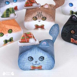 Boite cadeau chaton de Noël - cute Christmas kitten gift box